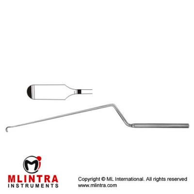 Landolt Micro Raspatory Bayonet Shaped - Malleable Stainless Steel, 26 cm - 10 1/4"